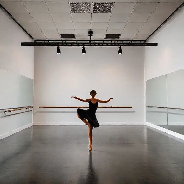 1. ダンススタジオの基本概念及び背景理解：定義、歴史、核心原理分析